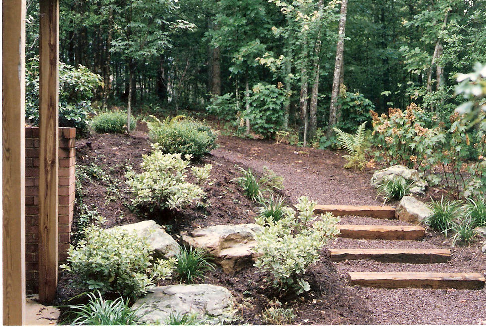 Wooded Scape