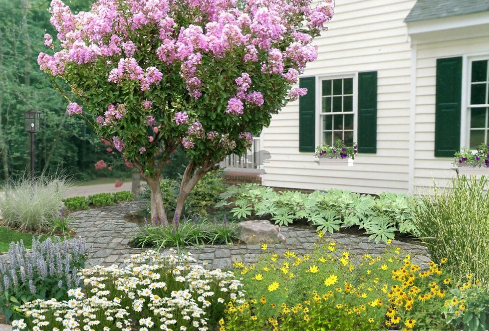 side landscape after