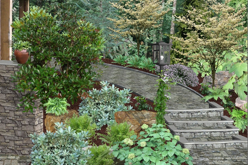 back path redo