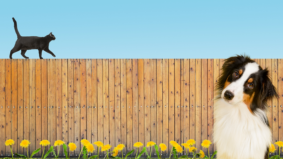 VVC Hero Image (2).png