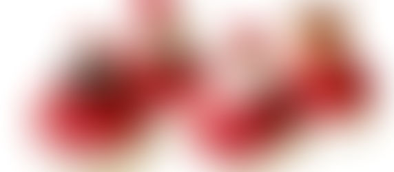 Bestel uw ijstaart: voor kerst of nieuwjaar