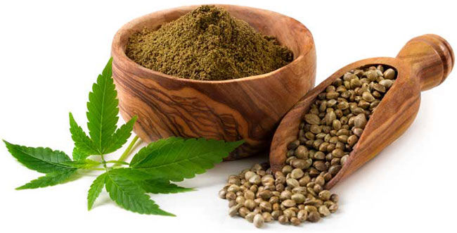 Hemp Protein market size