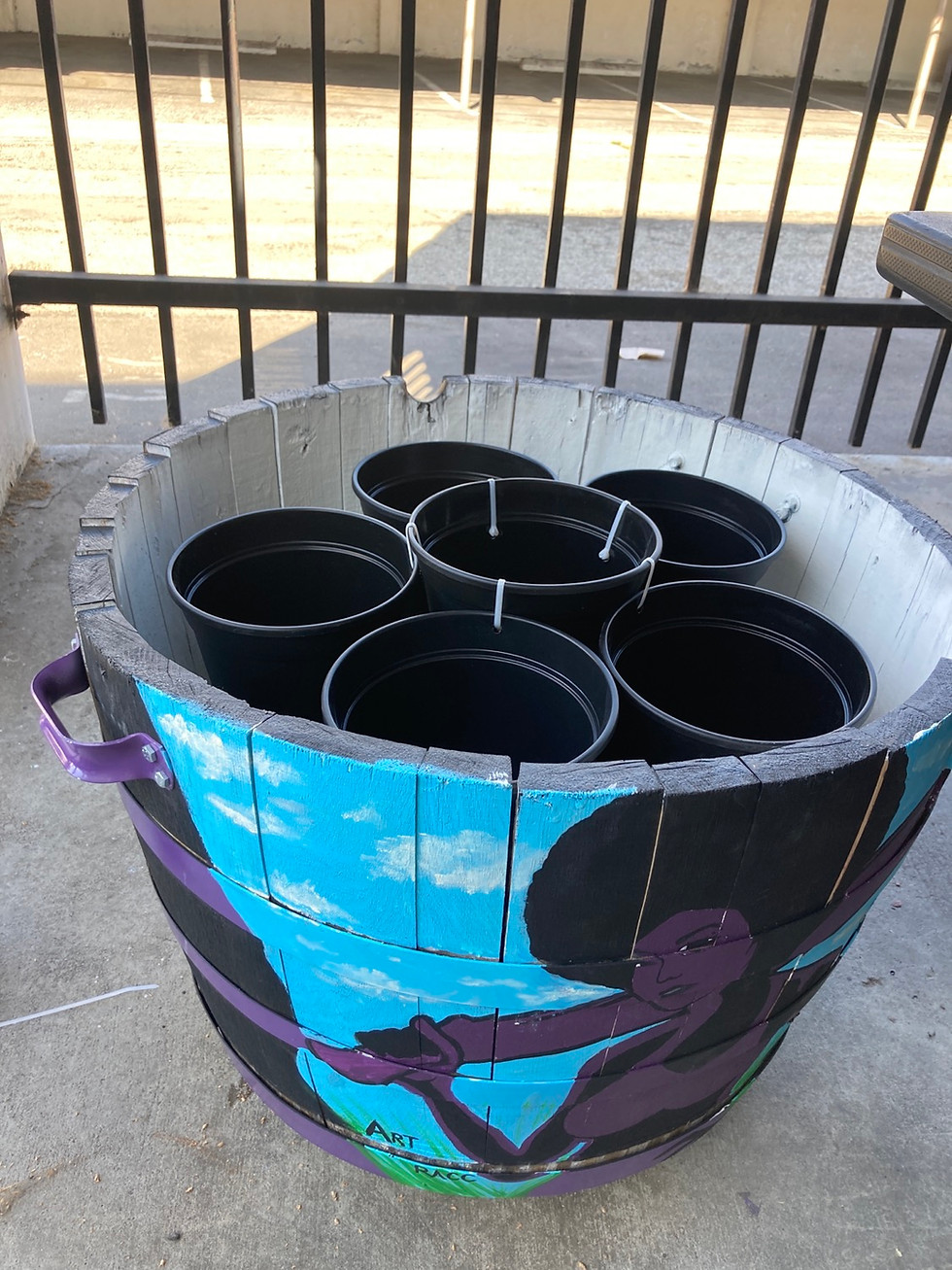 Thumbnail: Eves Barrel Cooler/ Planter