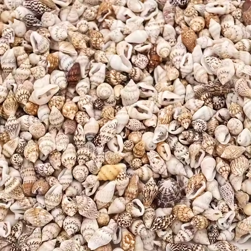 Assortiment van 400 mini plastic schelpen in verschillende vormen en natuurlijke kleuren, geschikt voor knutselen, sieraden m