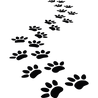 nk_color_121_1596-500x500.png
