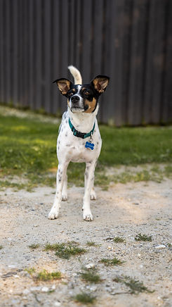 Sovereign Hilltop Farm-33.jpg