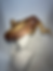 Thumbnail: Copper and gold free-form swirl hat