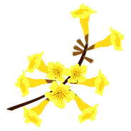ipeamarelo.png