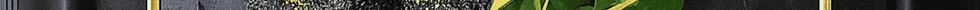 Untitled design_20250630_105300_0000.png