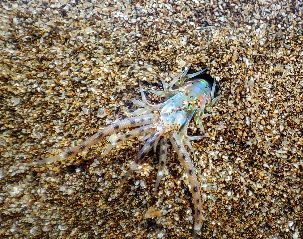 WhatsApp Image 2023-11-12 at 10.17.35 PM