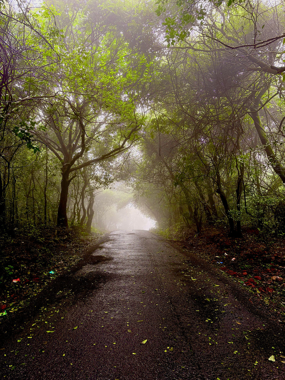 Amboli Rainforest