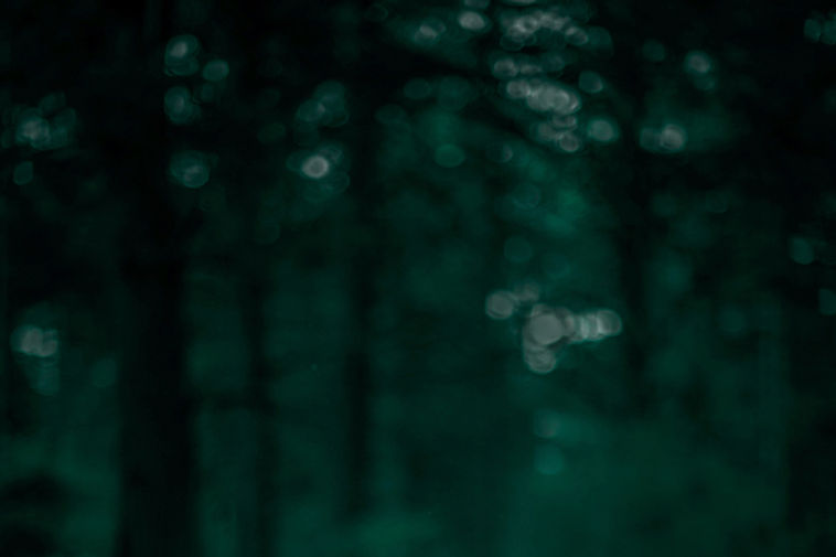 Blurry Forest_edited.jpg
