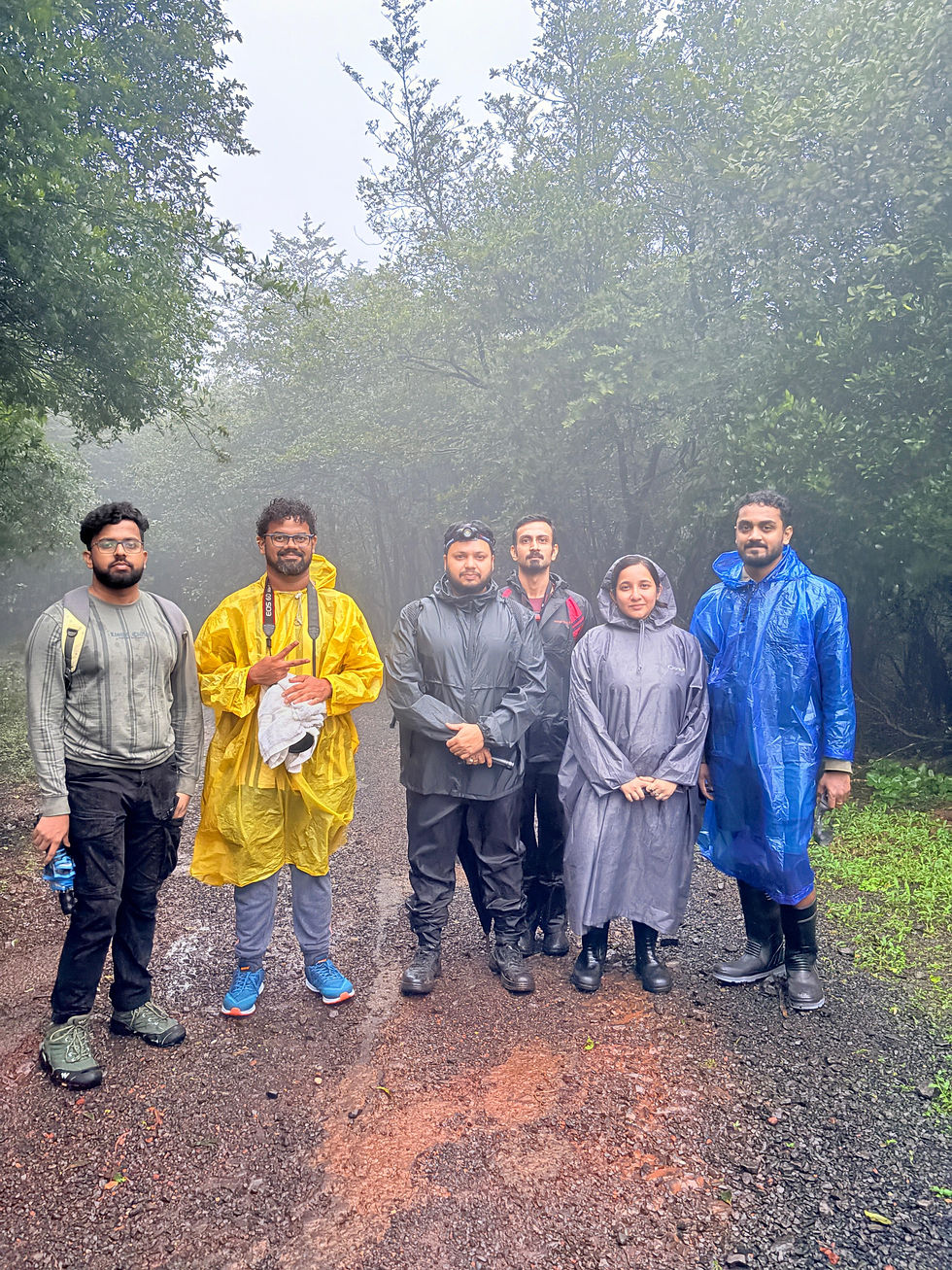 Amboli Herping Tour