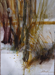 Landscape Series
