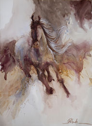Horse Series