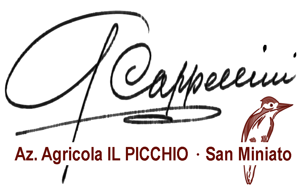 IL PICCHIO Azienda Agricola di Gabriele Cappellini — foto 2
