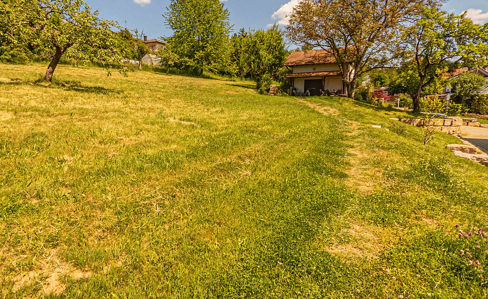 Garten und Terrasse 4
