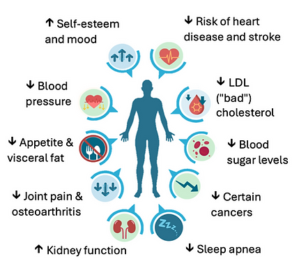 Infographic showing health benefits of GLP-1 and GIP weight loss medications at a Holladay, Utah clinic — better blood sugar and A1C, lower blood pressure and cholesterol, improved heart health, joint relief, reduced sleep apnea, lower obesity-related cancer risk, and boosted energy and confidence. Mentions ongoing research on inflammation, hormones, and possible dementia protection.