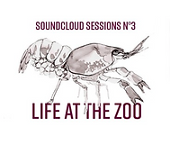 Life at the zoo