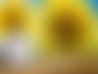 夏期休業日のお知らせ