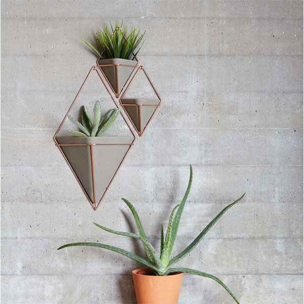 Thumbnail: Trigg Hanging Planter Vase & Geometric Wall Decor Container