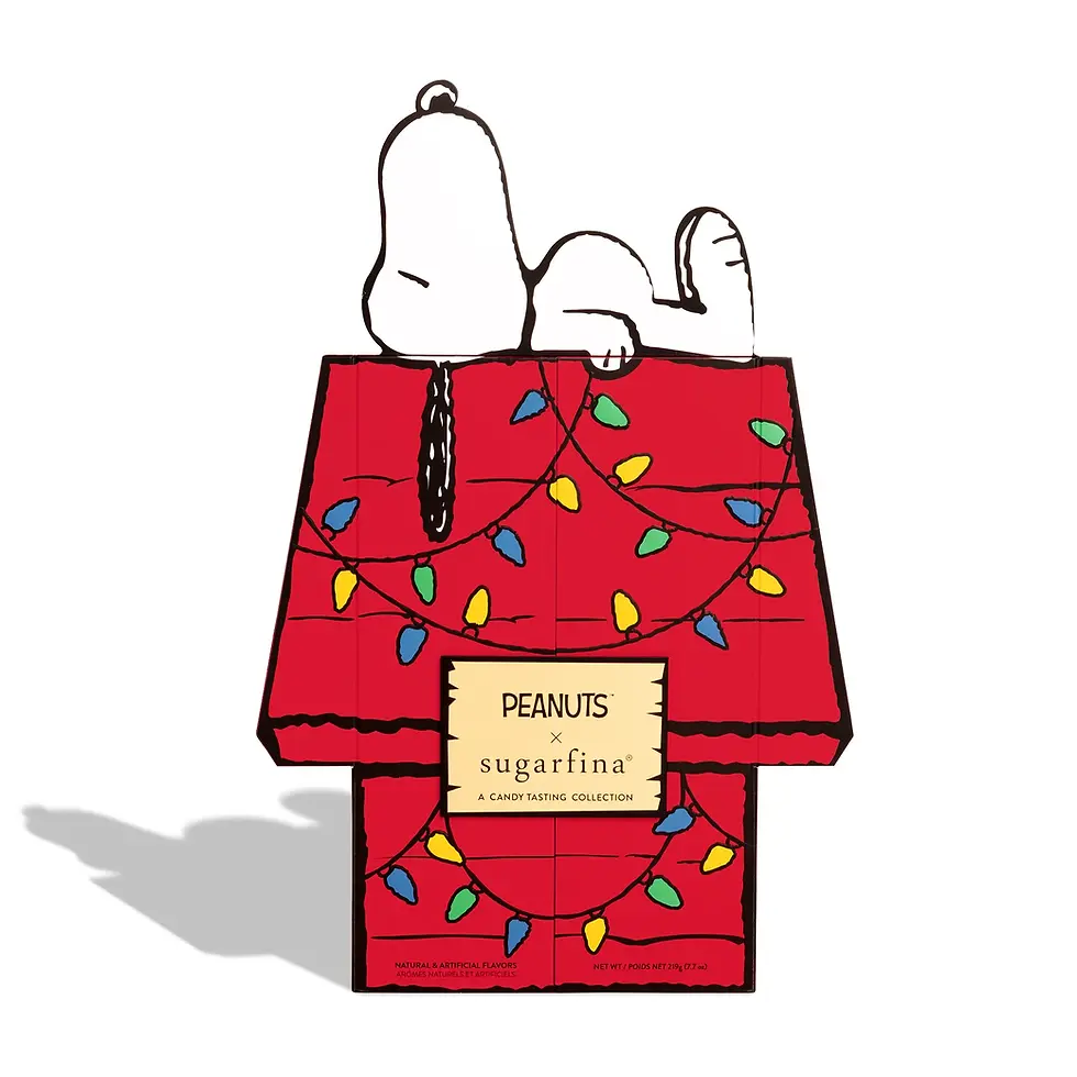 Snoopy’s House Advent Calendar