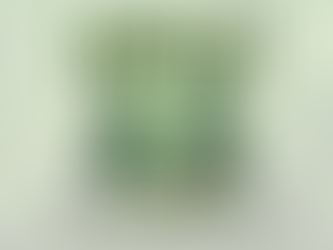 International Day of Forests