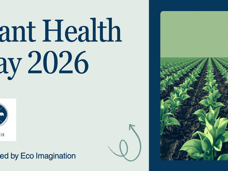 Plant Health Day: Our Response