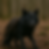 Mein ChatGPT-Bild.png