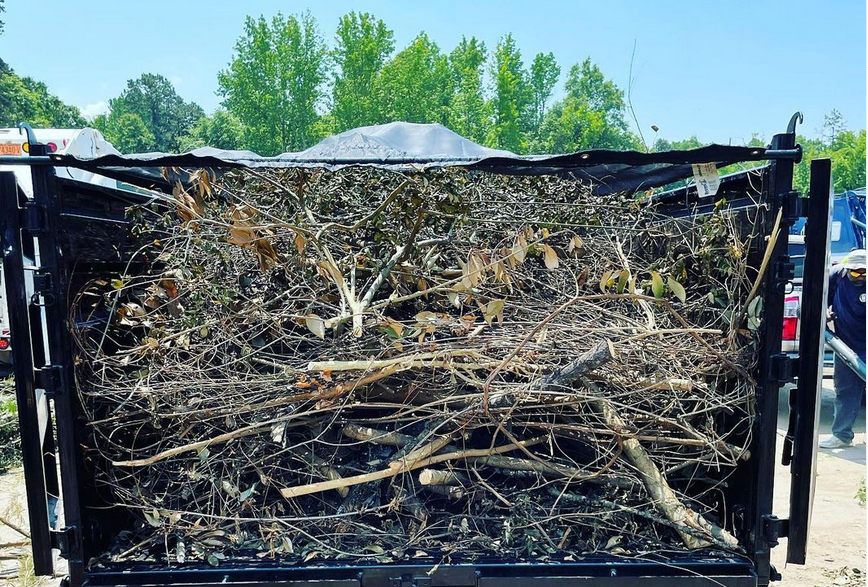 Riverside Large Landscape Debris Junk Removal.png