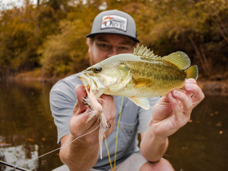 10/10 - Tar river Bass