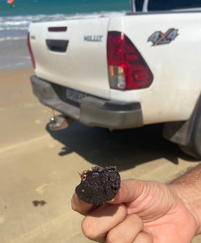 Manchas de óleo chegam nas praiais de Paracuru