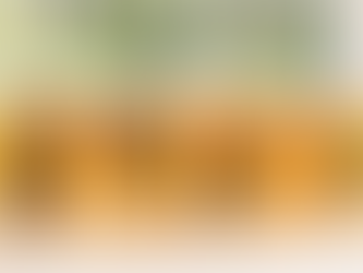 Moroccan Style Preserved Lemons + Quick Preserve Lemons