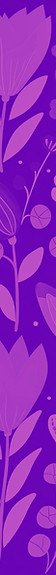 Colorful Illustrated Plants    _edited_edited_edited_edited_edited_edited_edited_edited.jp