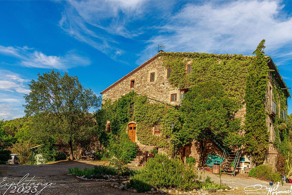 380953713_10227361201528158_7638338256265088879_n_edited