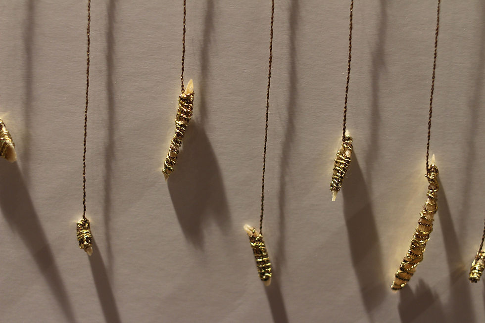 Amulettes