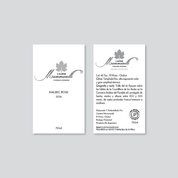Proyecto MAMMARELLI-02