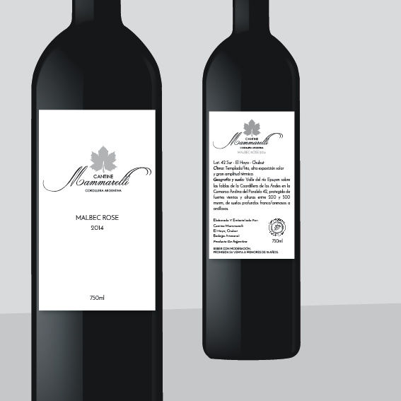 Proyecto MAMMARELLI-03
