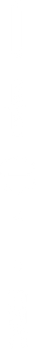 conjunto iconos.png