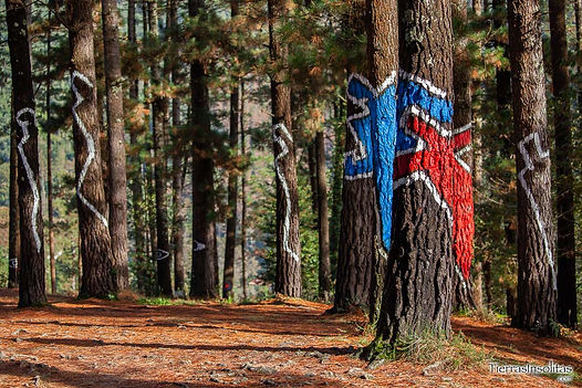 bosque-pintado-de-oma-bizkaia.jpeg