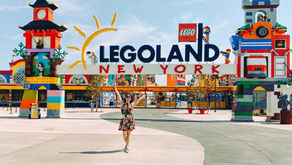 My Career Begins to Bloom