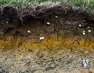 soil