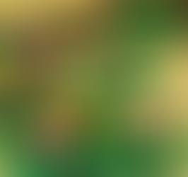 step by step achievement