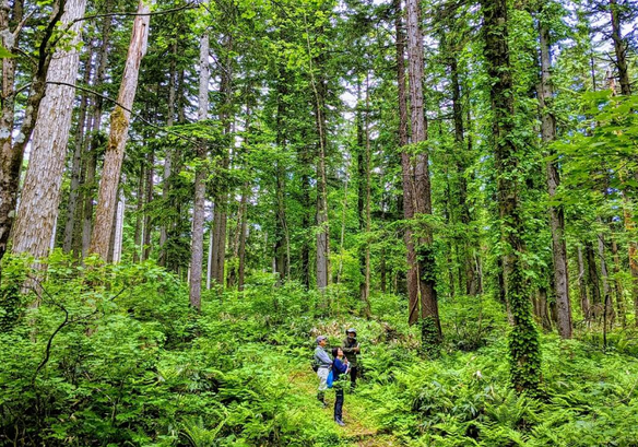 interpersonal communication