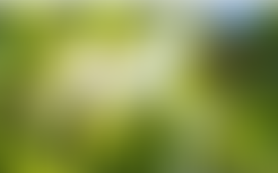 corporate discipline