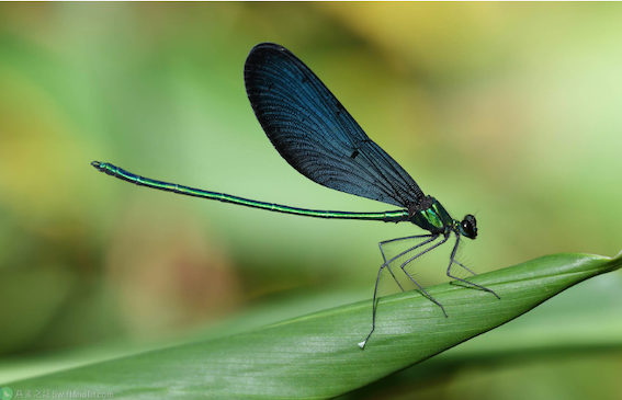 face the test of reality