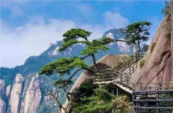 move forward bravely