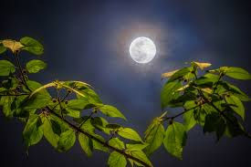 moon