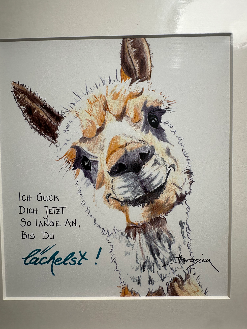 Miniaturbild: Lustige Alpaka Passepartout-Bilder