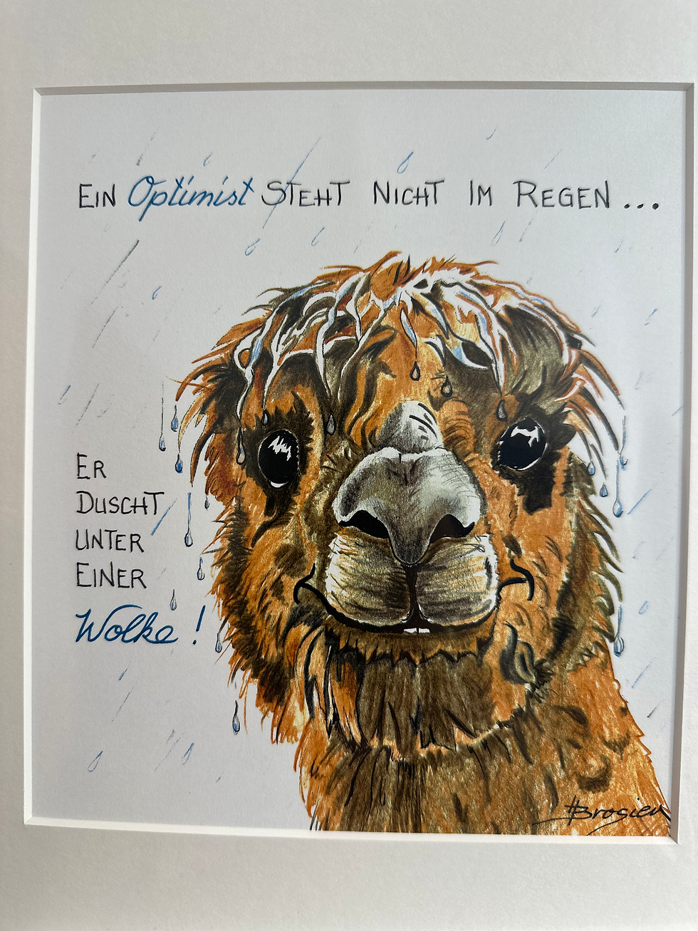 Miniaturbild: Passepartout Alpaka Bild von Heidemarie Brosien